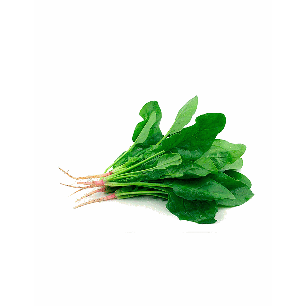 Espinaca