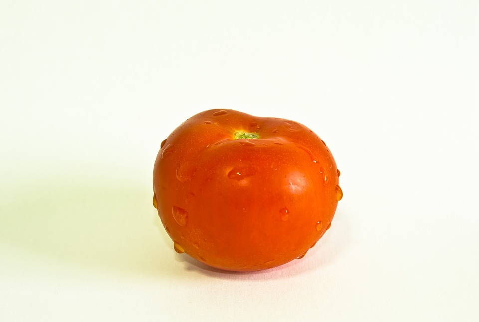 Tomate Chonto