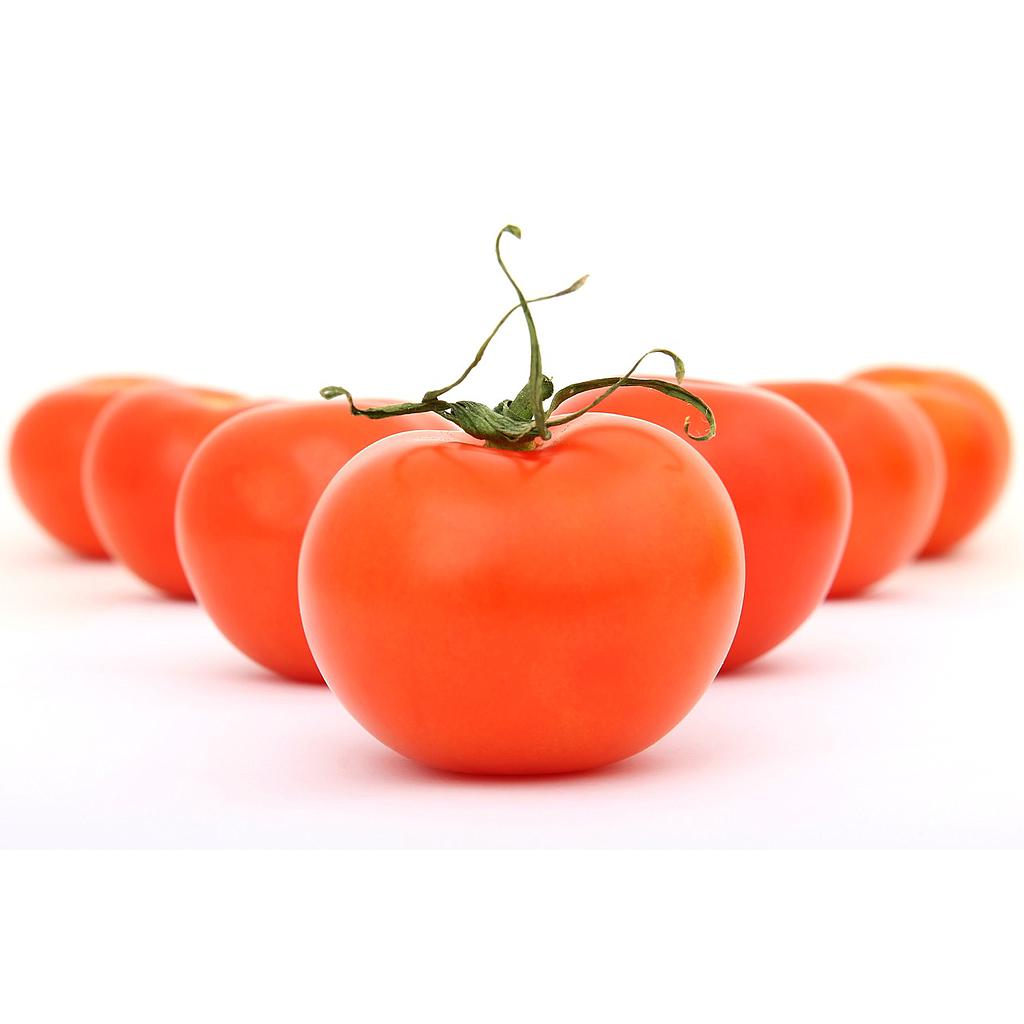 Tomate Larga Vida