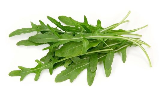rúgula